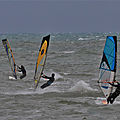 IMG_7610