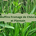 12 PLANTAIN(2)Muffins Fromage Plantain