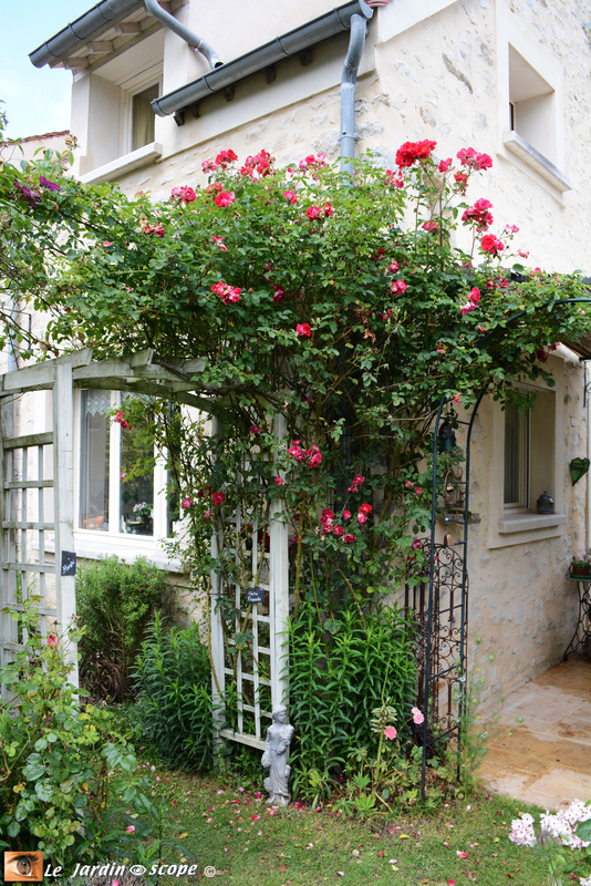 PAT_7552-Petit-jardin-de-St-Fiacre