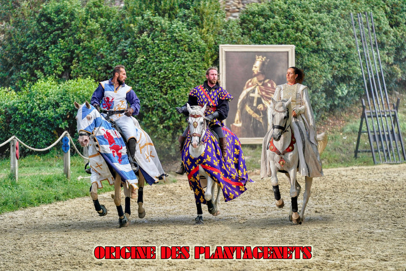 ORIGINE DES PLANTAGENETS