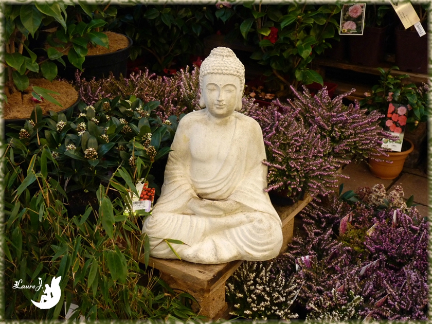 Zenitude Mon Jardin Du Bonheur Zenitude Mon Jardin Du Bonheur