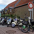 IMGP3139