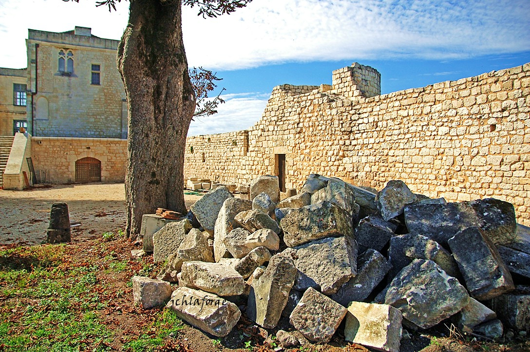Villebois Château.