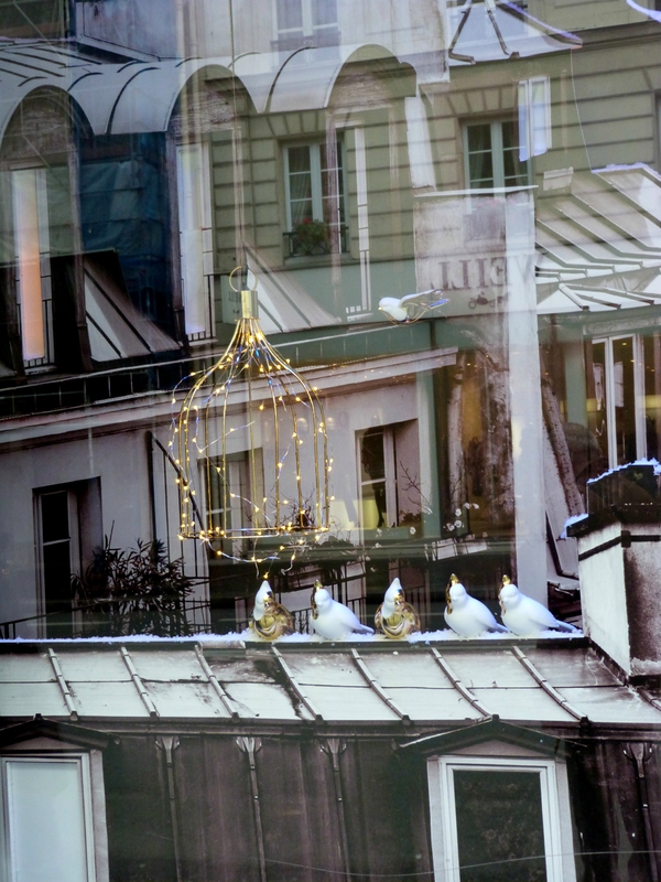 Toits mon Paris 7