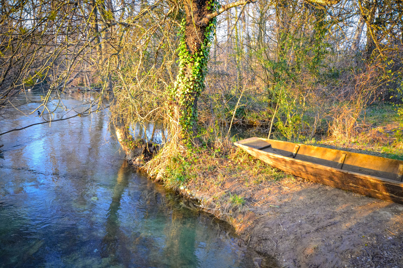 DSC_0153