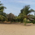 DSCF1684 (65)