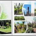 Pairi daiza 2012 - mura mura territory (suite)