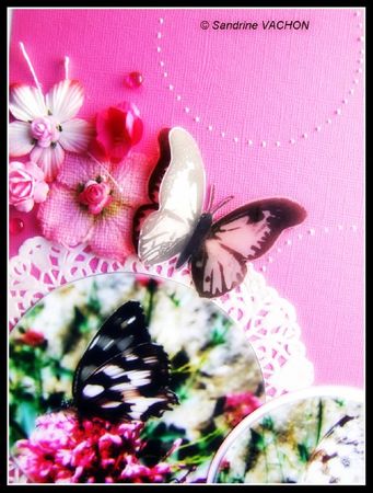 Page concours COTE JARDIN - 8
