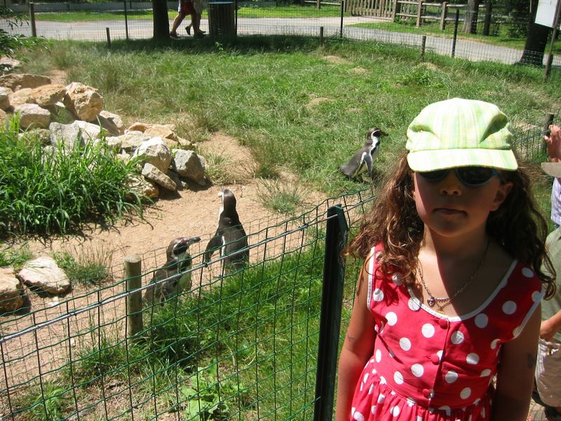 09_Oiseaux