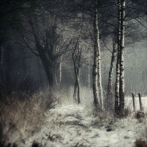 snow2