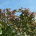 P1080020