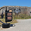 IMG_8444