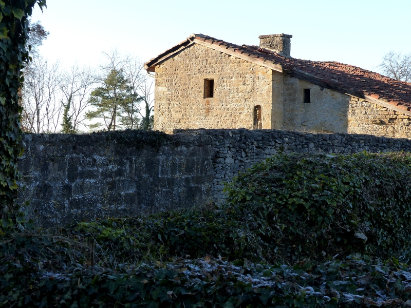 P1560526