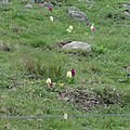 DSC06181