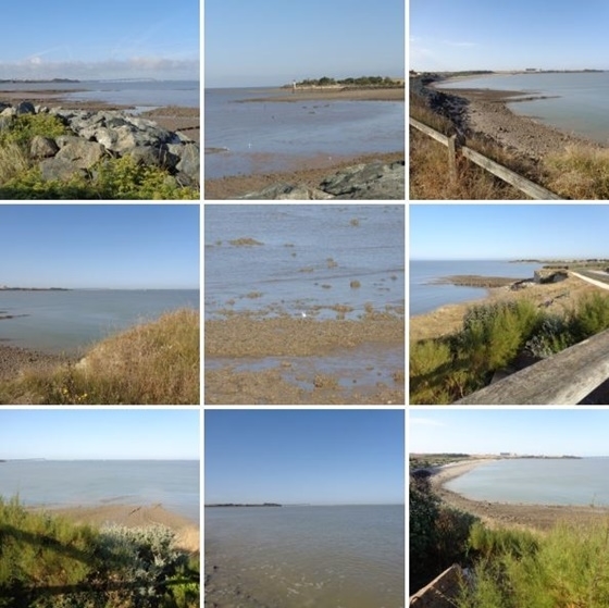 bord de mer l'houmeau
