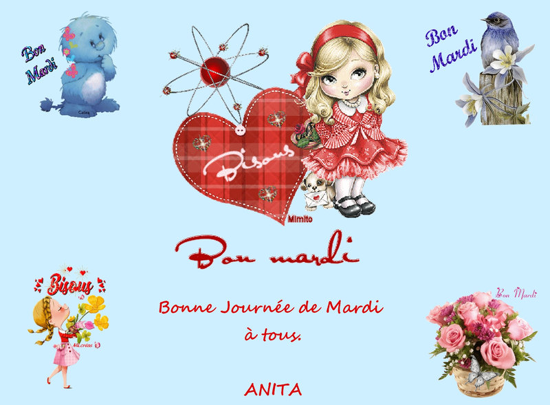 mardi 16 nov