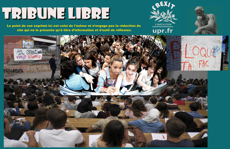 TL PARCOURSSUP