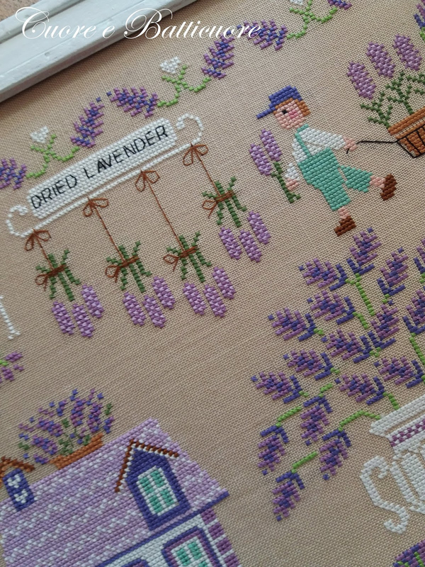 lavender farm 4