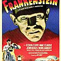 Frankenstein - 1931 (le récupérateur de cadavres)