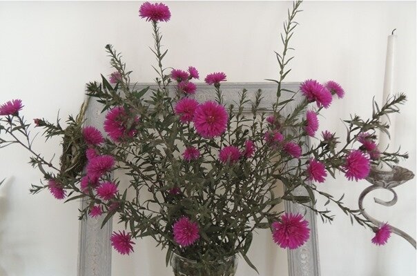 bouquet