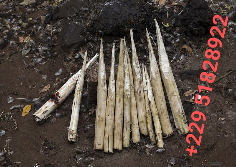 COMBATTRE LA SORCELLERIE AFRICAINE AVEC LE VOYANT AGBO
