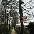 IMGP4433