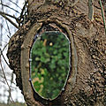 Miroir arboricole ....