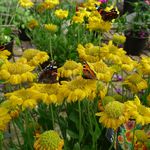 2012-08-2820 (2)