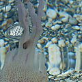 P1030328