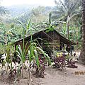IMG_7543 (Copier)
