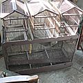DSCF7628
