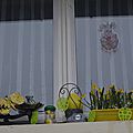 _DSC0036