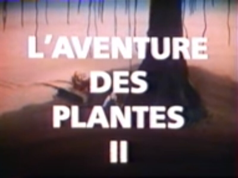 L'aventure des plantes
