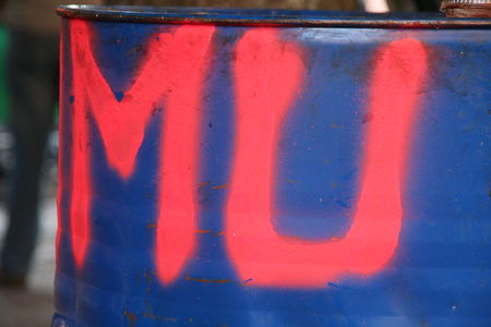 FIMU_029