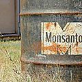 Monsanto veut contrôler le business des abeilles
