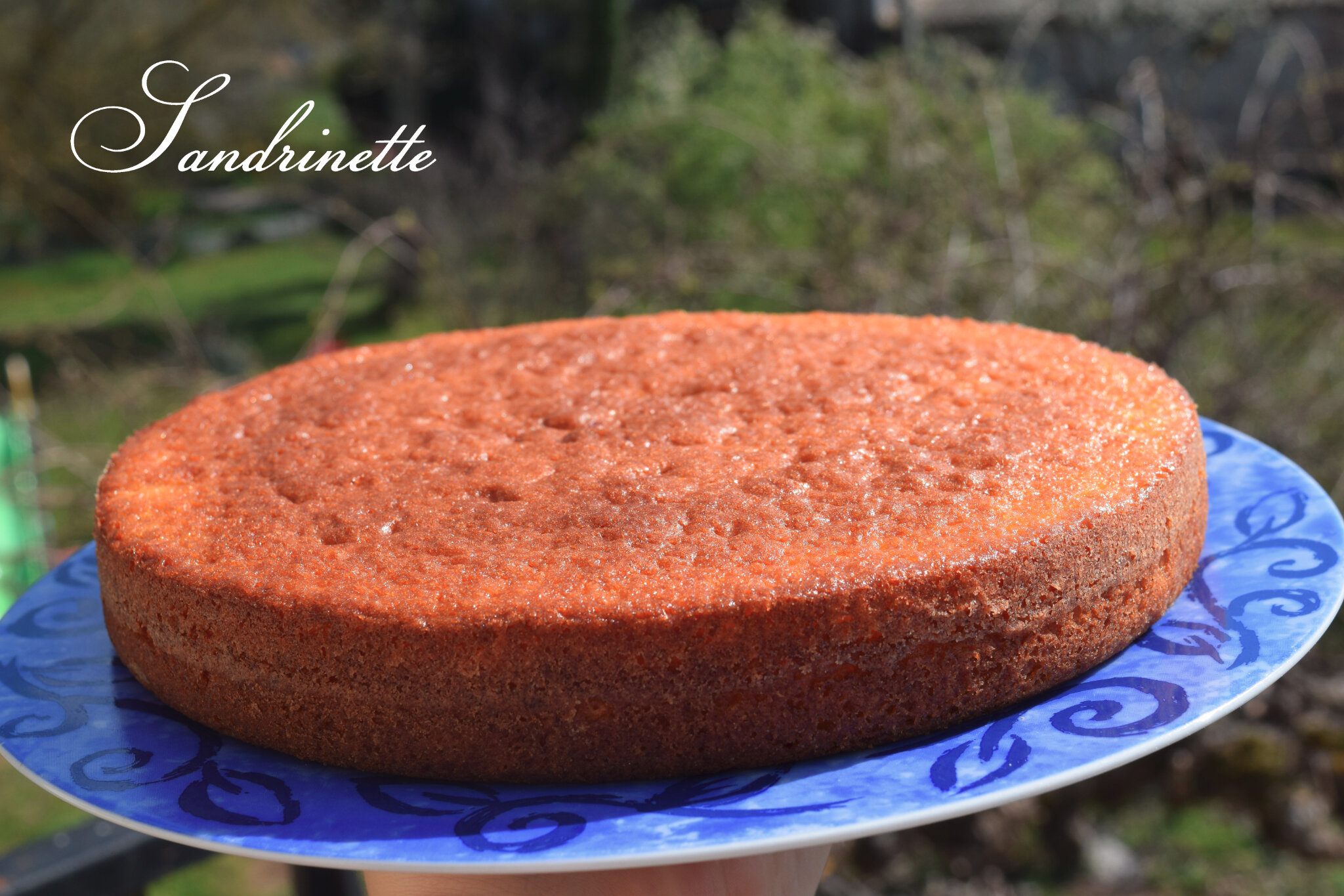 Gateau Bulgare De Ma Meme Du Ginestet Sandrine Dans Tous Ses Etats