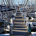 Golden Gardens Marina Seattle 2