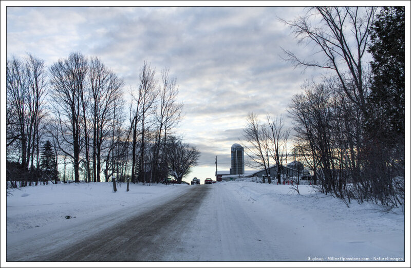 IMG_1161-1