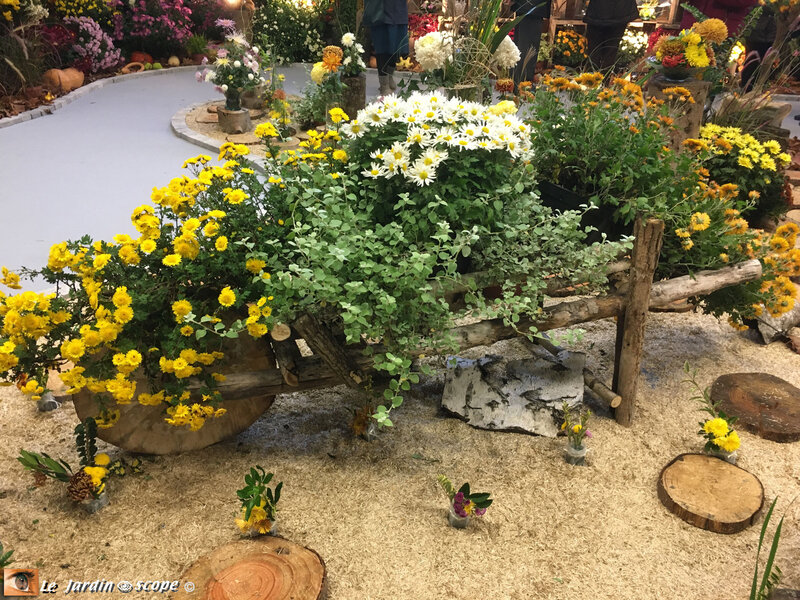 Expo-chrysanthème-2019-15