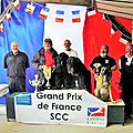 attelage canin GRAND PRIX DE FRANCE Podium DIWALL DE LA DULLAGUE 