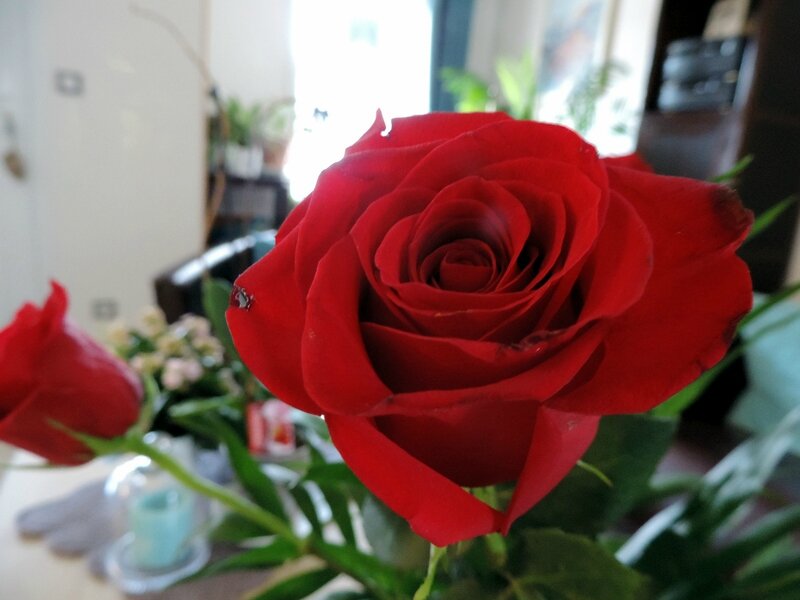 DSCN8318