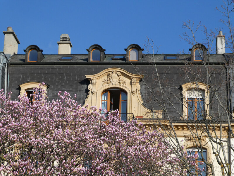 P1010004
