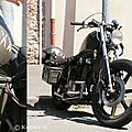 Harley 019-P