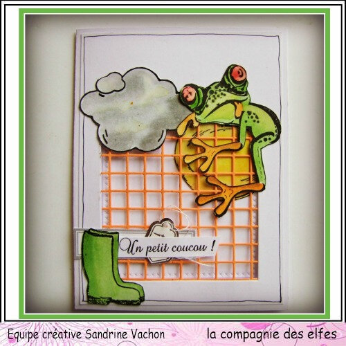 Carte grenouille UN PETIT COUCOU dt LCDE (1)