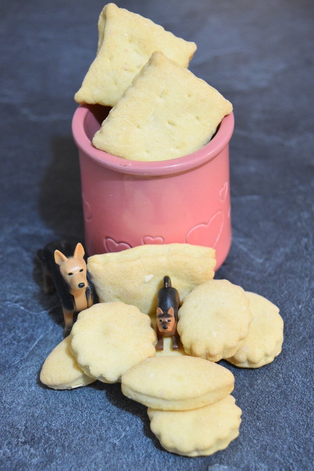 Biscuits Pour Chien Au Thermomix Mes Debuts