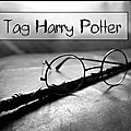 Tag # 50 : harry potter