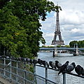 087 - L'Ile aux Cygnes
