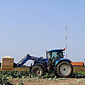 IMG_2926
