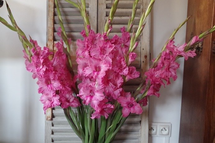 bouquet