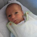 ZU - Photos du 10 mars